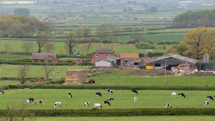 ‘How farm estates can drive food security, economic diversification’