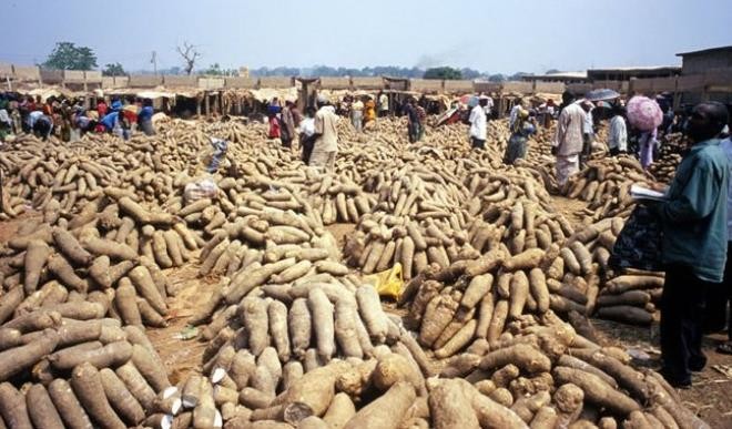 ‘Stringent requirements threaten agric produce’ ‘Stringent requirements threaten agric produce’
