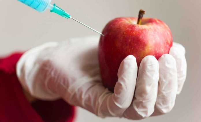 Biotechnology is way forward for African farmers, says Koku