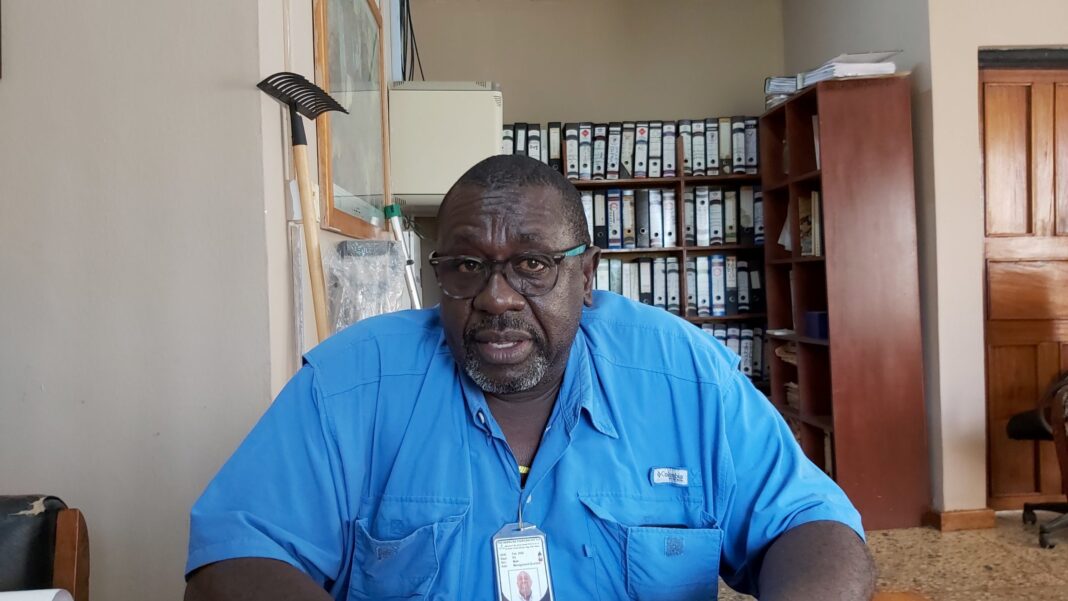 INTERVIEW: Nigeria needs 100,000 hectares of oil palm to close deficit — Expert
