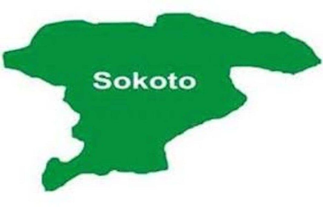 Insurance firm to pay farmers affected by flood in Sokoto