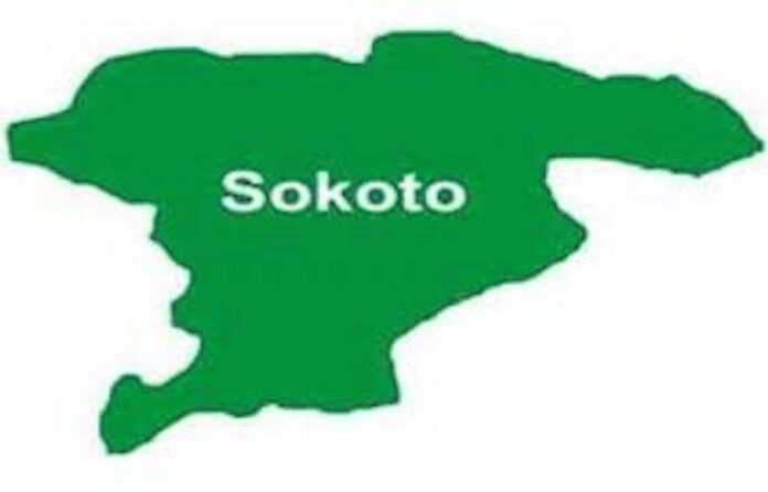 Insurance firm to pay farmers affected by flood in Sokoto