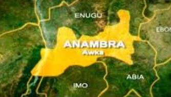 Anambra Community Appeals For Release Of Airport Land For Agricultural Anambra Community Appeals For Release Of Airport Land For Agricultural Activities