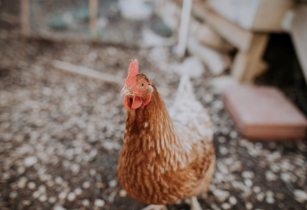 christin hume BDd2azogqqY unsplash