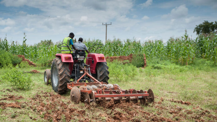 Dry season farming should be thrust of Nigeria’s agric policy, says Kasali | The Guardian Nigeria News