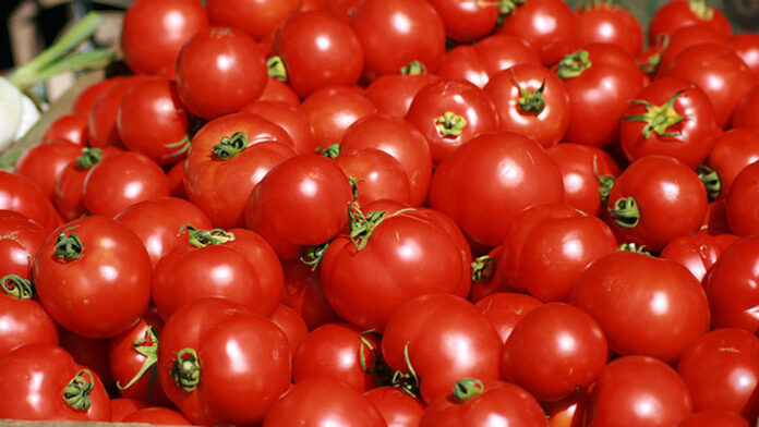 Protests, curfew ground fresh food distribution | The Guardian Nigeria News