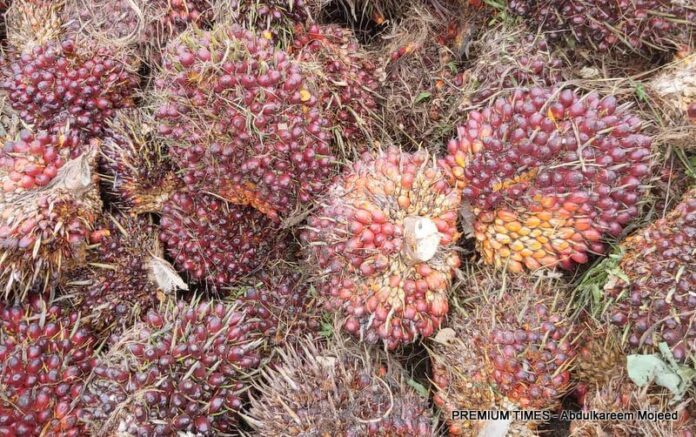 SPECIAL REPORT: How Nigeria’s neglect of oil palm pushed it down global pecking order