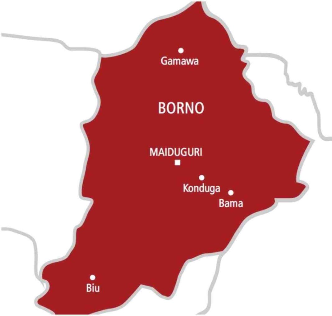 Borno Farmers’ Killing: Farmers send SOS to govt for adequate protection