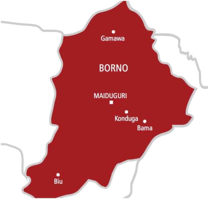 Borno Farmers’ Killing: Farmers send SOS to govt for adequate protection