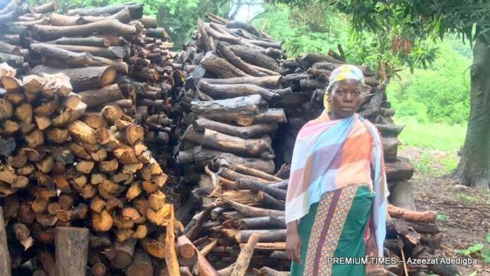 Budget 2021: Nigeria proposes lowest funding for women in agribusiness in four years