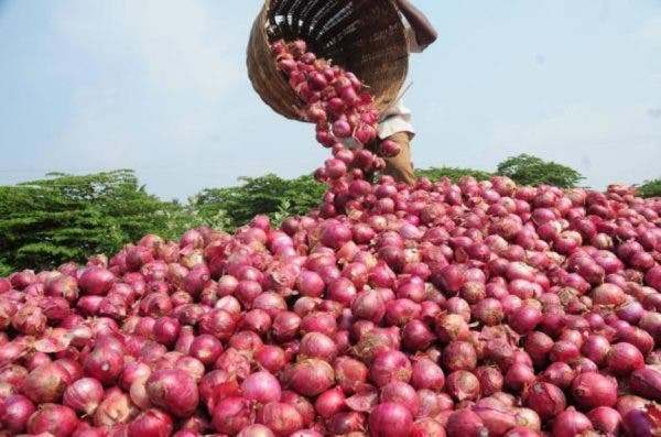 Housewives advocate security, mechanised farming to reduce cost of food Housewives advocate security, mechanised farming to reduce cost of food