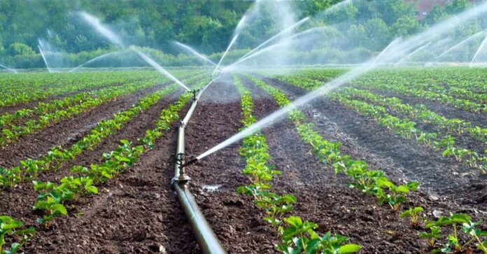 How to overcome water challenges in agriculture — FAO