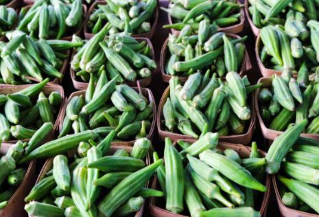 ICCIA To Seminar On Okra