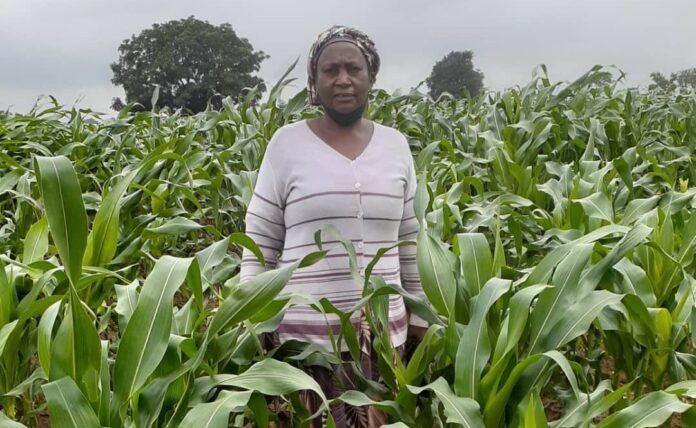 INTERVIEW: My farming succeeds despite lack of govt support – Hannatu Soni