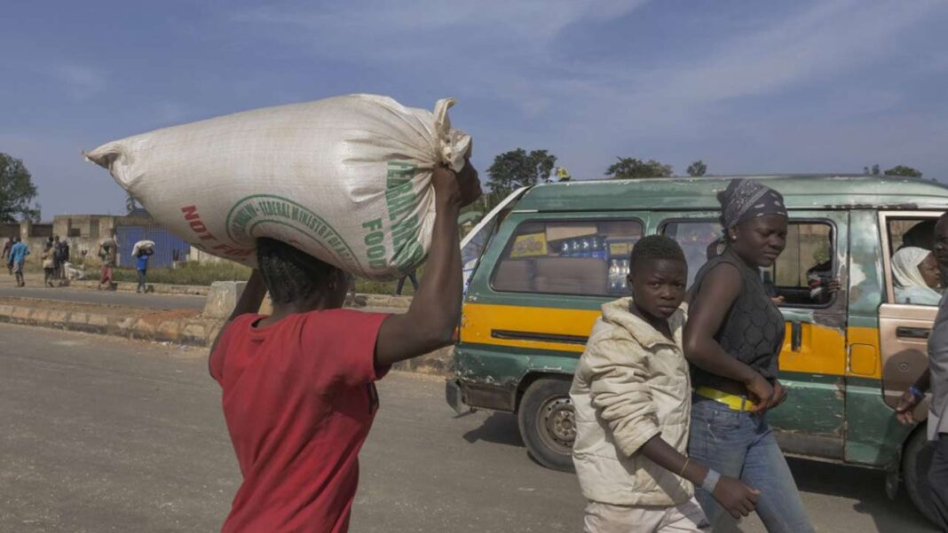 Looting grains reserve, silos undermine food security plan | The Guardian Nigeria News