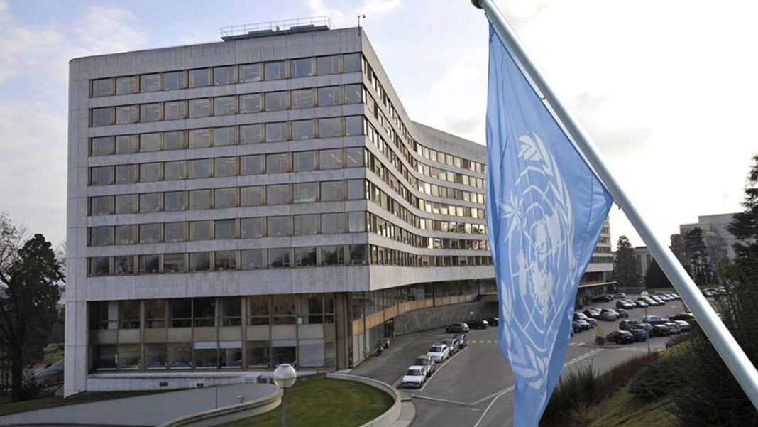 Maritime trade to fall by 4.1% this year, says UN | The Guardian Nigeria News