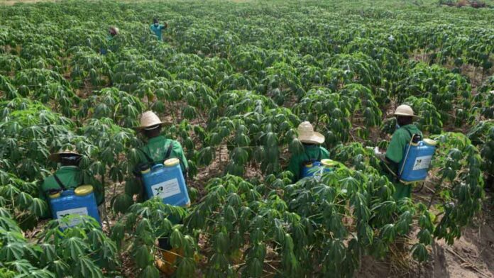 Rotimax launches book to boost pest control industry | The Guardian Nigeria News