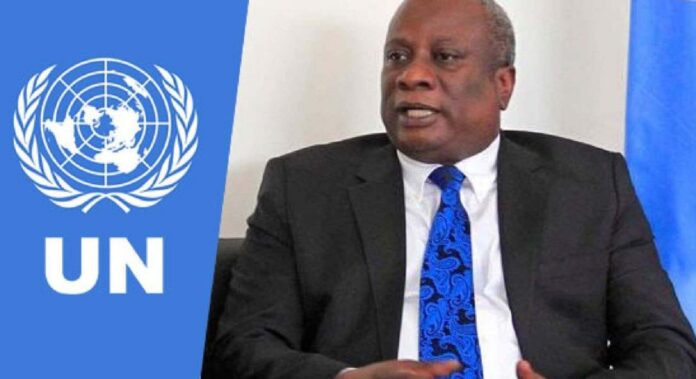 UN condemns brutal attack on rice farmers in Borno