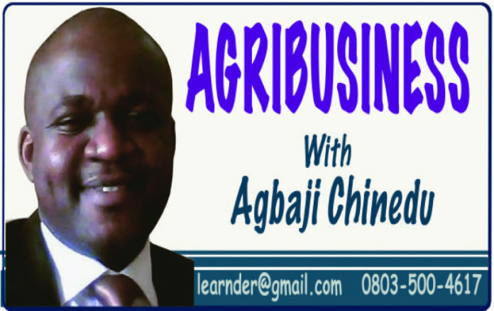 Border Re-Opening And Nigerian Rice Revolution