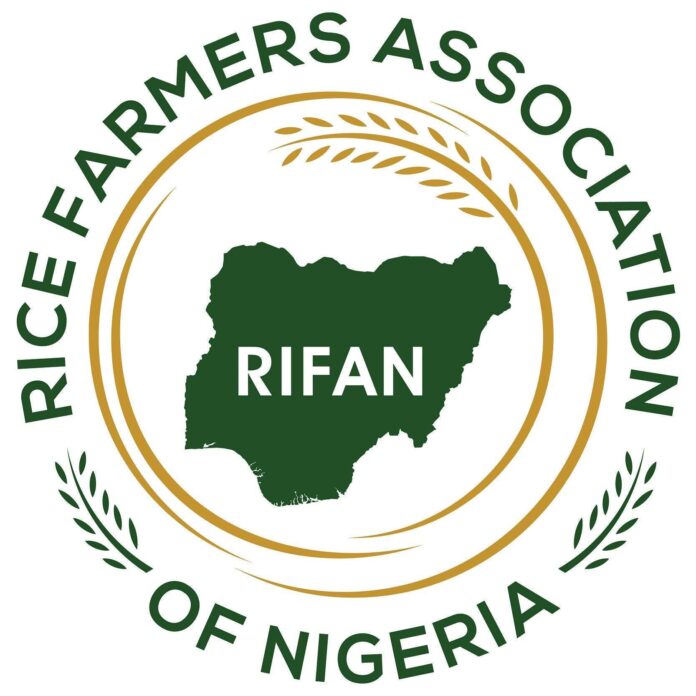 Farmers can grow rice all year round in Lagos, says RIFAN Dep President