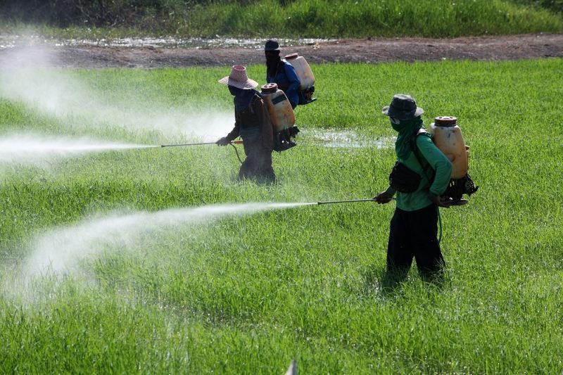 Global pesticide poisonings up from 25 million in 1990 to 385 million – Study