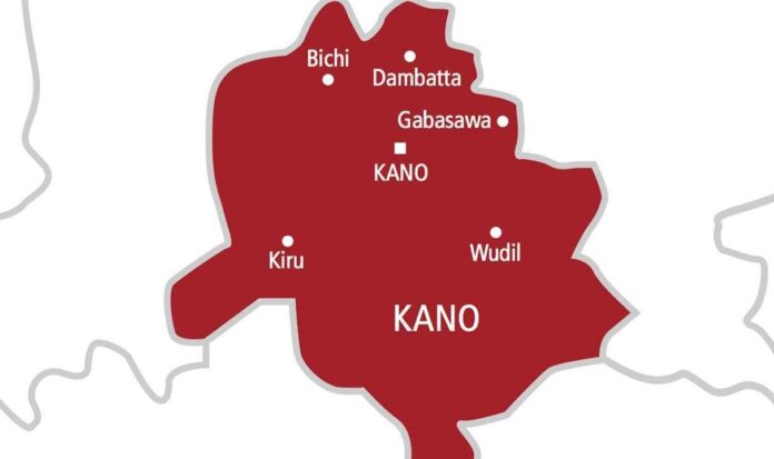 Kano lawmaker empowers 700 youths, women on poultry farming to tune of N14m