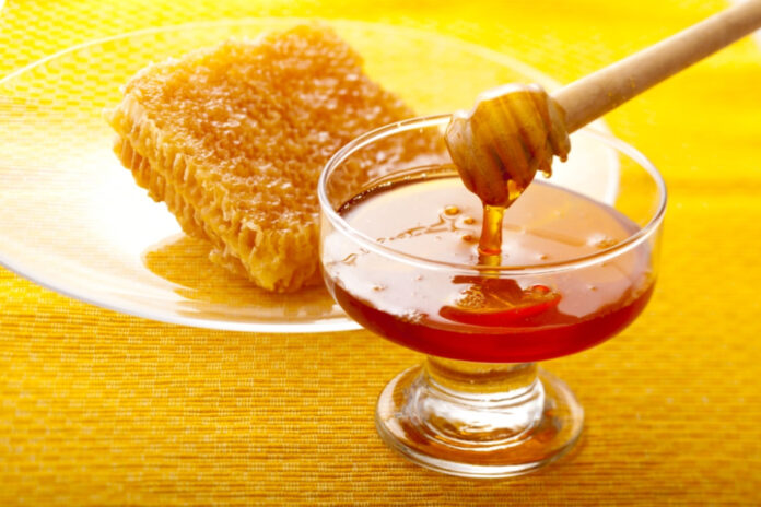 ‘How honey value chain can create jobs, alleviate poverty’ | The Guardian Nigeria News
