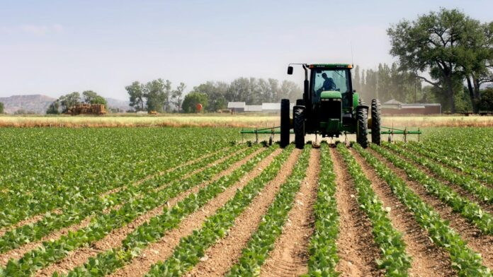 Agric varsity denies recruitment, warns against fraudstersFeatures — The Guardian Nigeria News – Nigeria and World News