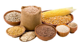 Stakeholders on how to check looming hunger