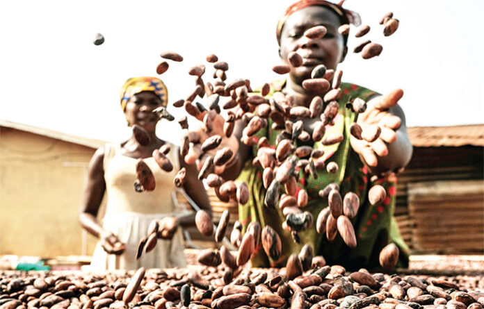Cocoa Prices Drop As COVID-19 Bites Harder Cocoa Prices Drop As COVID-19 Bites Harder