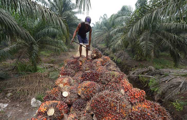 Don Seeks Return Of Agric Commodity Boards To Boost Revenue