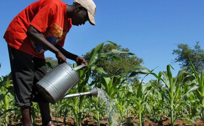 FCT team understudies Ogun agric model FCT team understudies Ogun agric model