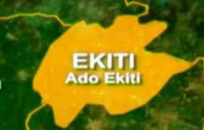 Farmers lament as Fulani herdsmen destroy multi-million maize farm in Ekiti