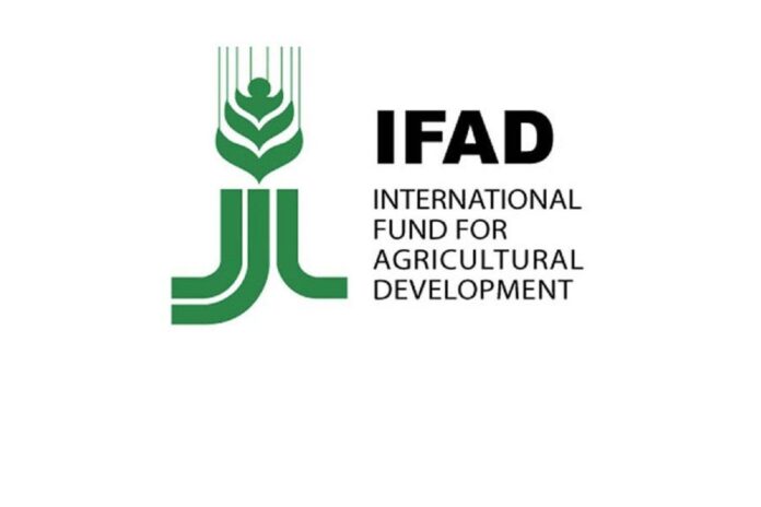 IFAD charges world leaders to increase investment to assist small-scale farmers adapt to climate change