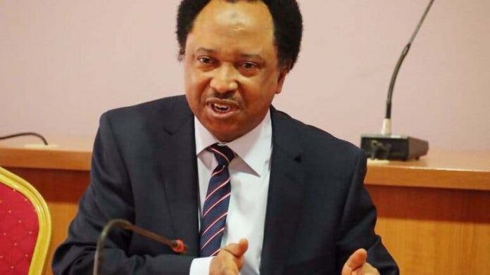Insecurity: Miyetti Allah meeting with S’West Govs can’t end farmers-herders clash —Sen Sani