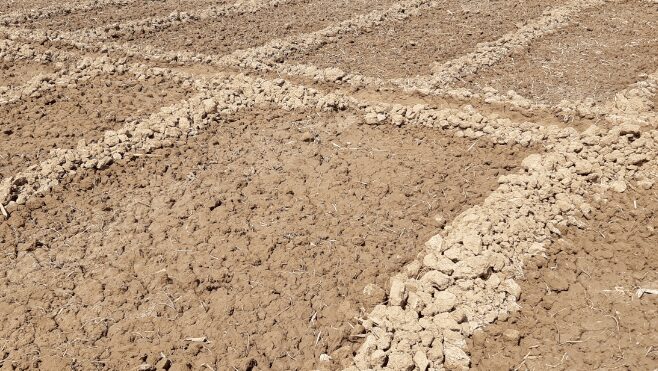 PHOTO STORY: Environmental problems in Northern Nigeria threaten national security, food production
