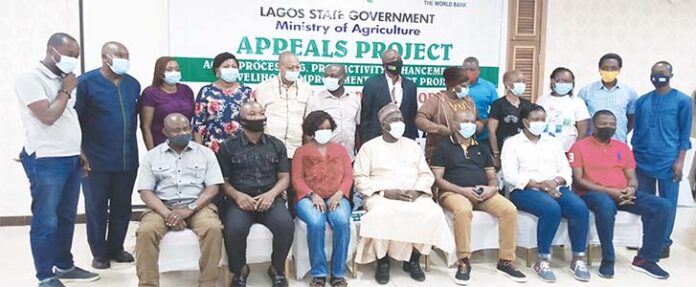 Stakeholders Stress Need For Cashew Processing To Avoid Wastage