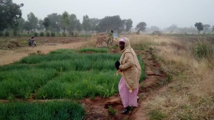 Women in Agriculture: Finance, fertiliser my biggest challenges — Jigawa farmer