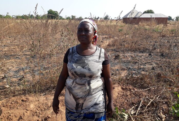 Women in Agriculture: How communal crisis set back my farming business — Farmer