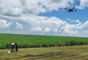 XAG suggests drones could outsmart locust swarms at night in XAG Agricultural Drone