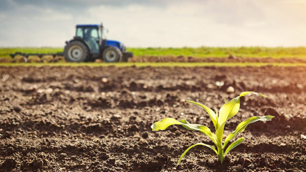 ‘TAAS launch will boost agric, other businesses’ | The Guardian Nigeria News
