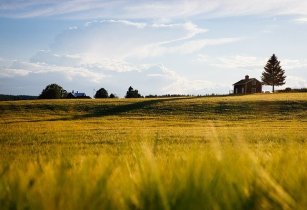 agriculture and farming