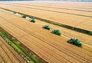 fields 5722755 640