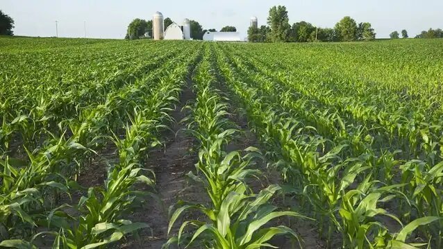 FG distributes free inputs to smallholder farmers in Gombe — Minister