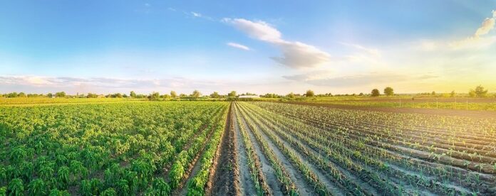 bigstock Farm 1