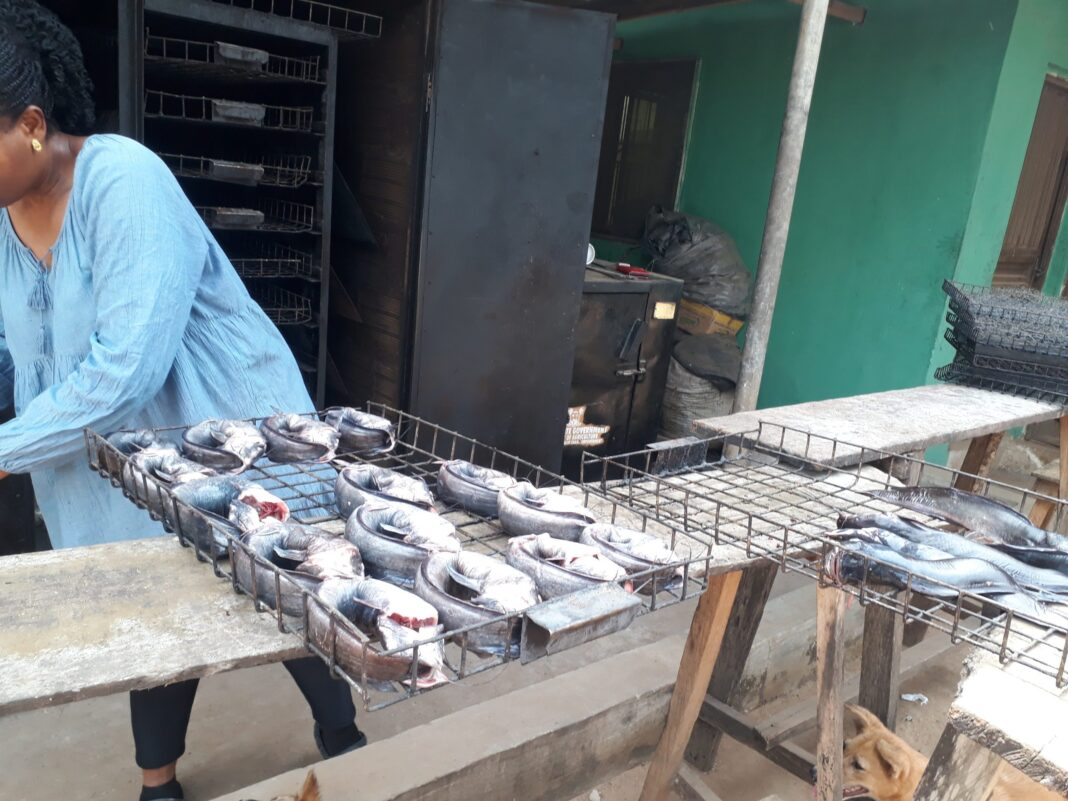 Women in Agriculture: How quitting oil servicing job helped me grow — Farmer