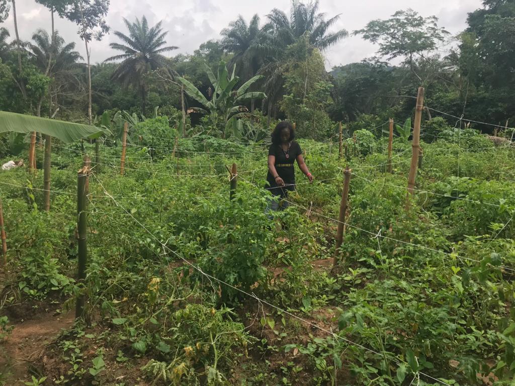 Women in Agriculture: My experience shows youth need not waste time looking for jobs – Farmer