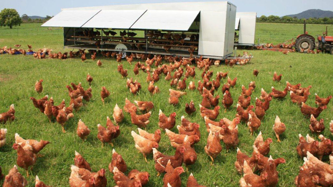 Combating fire outbreaks, heat stress on poultry, other farms