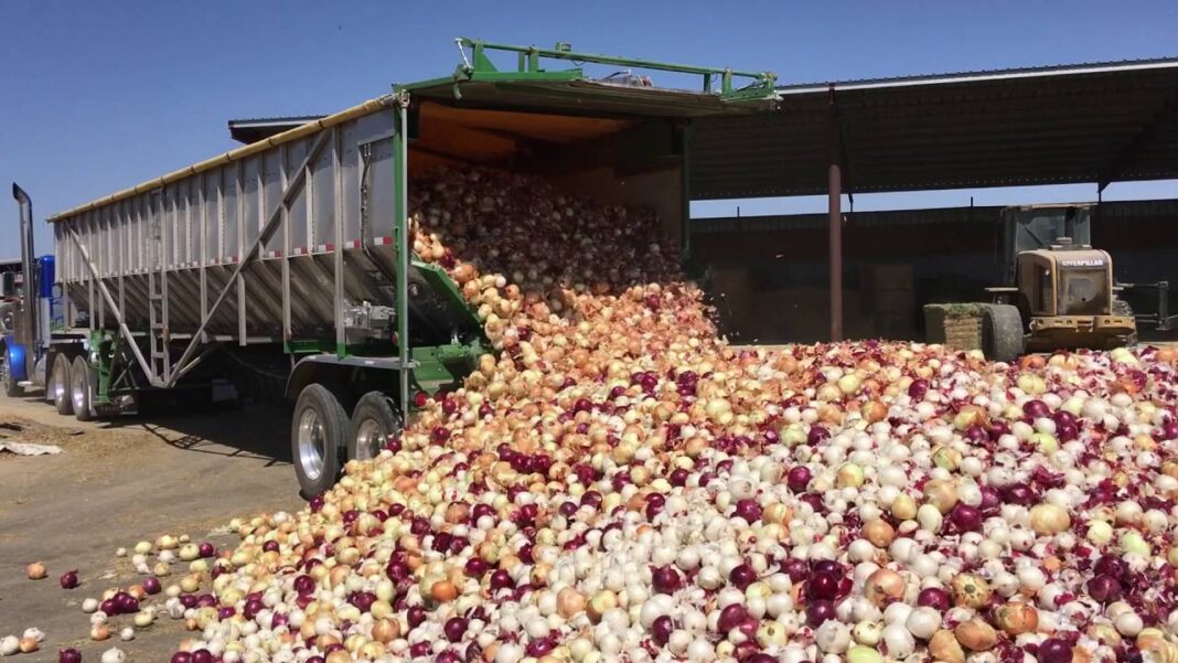 Food prices soar as northern traders, unions divert crops