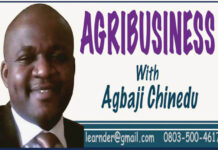 How Agriculture Mechanisation Can Boost Business Opportunities For Farmers In Nigeria How Agriculture Mechanisation Can Boost Business Opportunities For Farmers In Nigeria
